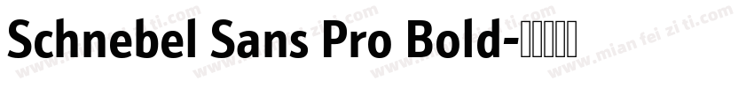 Schnebel Sans Pro Bold字体转换